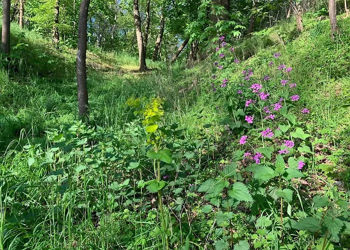 Auszeit Am - Moderne Direkt Am